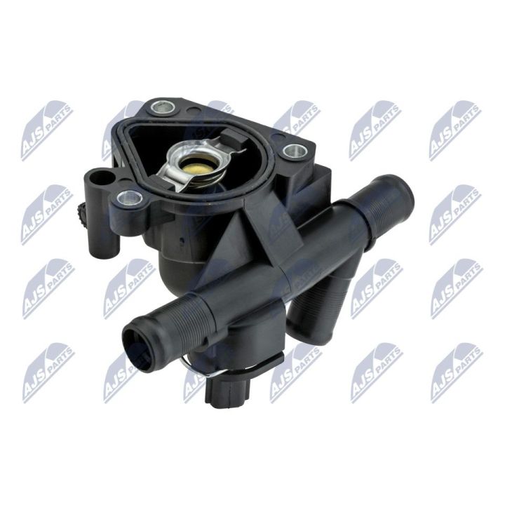 Termostatas, aušinimo skystis NTY CTM-RE-021