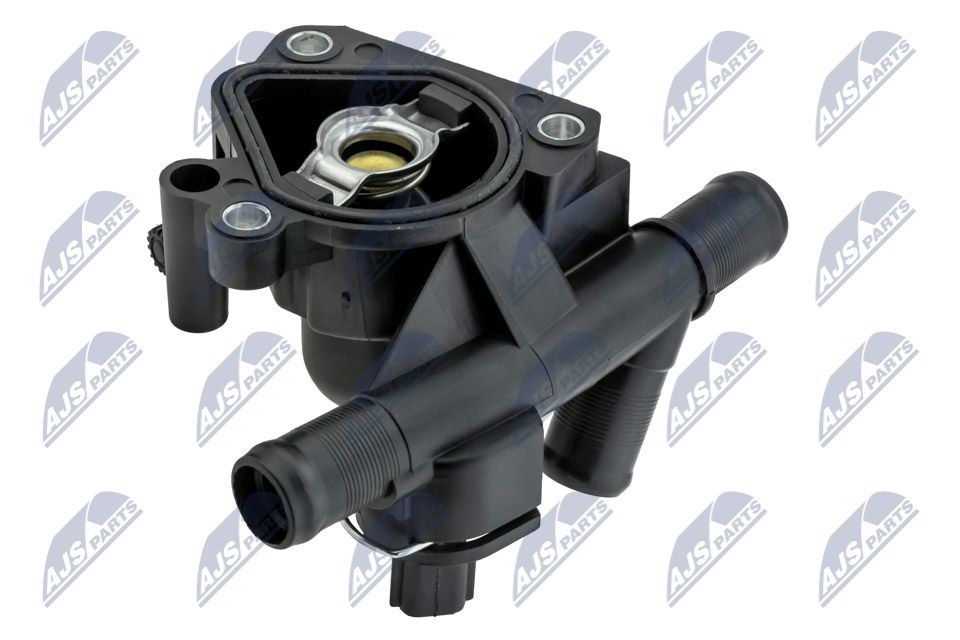 Termostatas, aušinimo skystis NTY CTM-RE-021