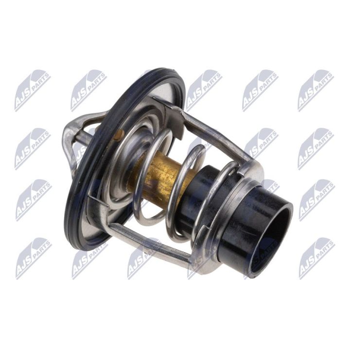 Termostatas, aušinimo skystis NTY CTM-TY-010