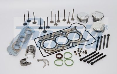 Stūmoklis FRECCIA FR1000-002SV