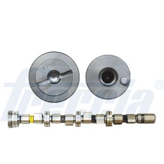 Skirstomasis velenas FRECCIA CM05-2113