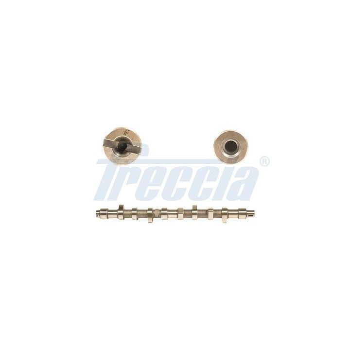 Skirstomasis velenas FRECCIA CM05-2141