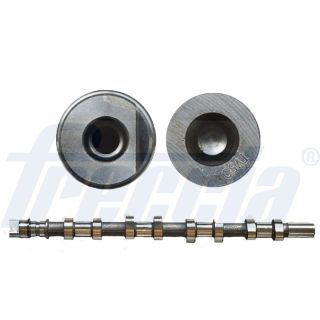 Skirstomasis velenas FRECCIA CM05-2165