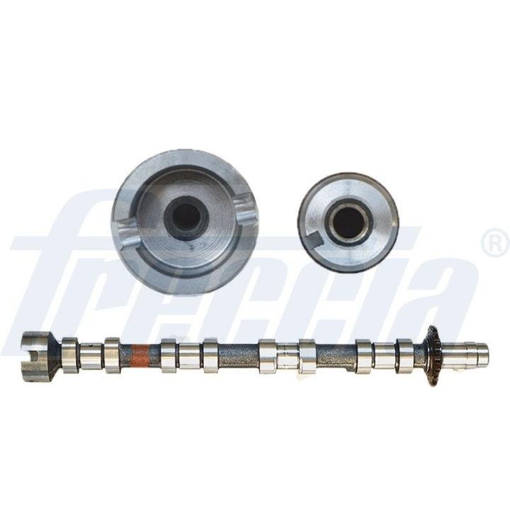 Skirstomasis velenas FRECCIA CM05-2271