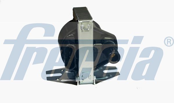 Ritė, uždegimas FRECCIA IC15-1007