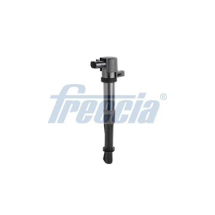 Ritė, uždegimas FRECCIA IC15-1021