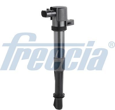 Ritė, uždegimas FRECCIA IC15-1021