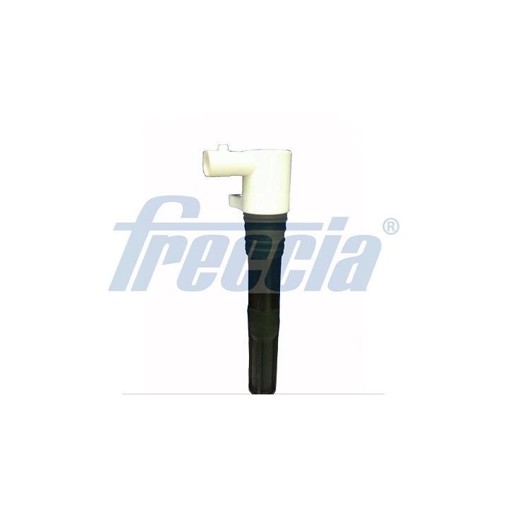 Ritė, uždegimas FRECCIA IC15-1023