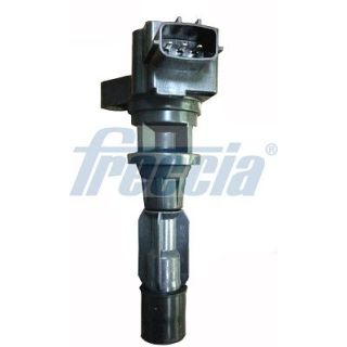 Ritė, uždegimas FRECCIA IC15-1027