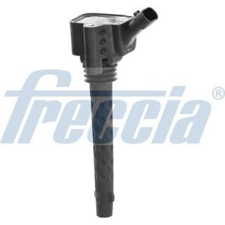 Ritė, uždegimas FRECCIA IC15-1029