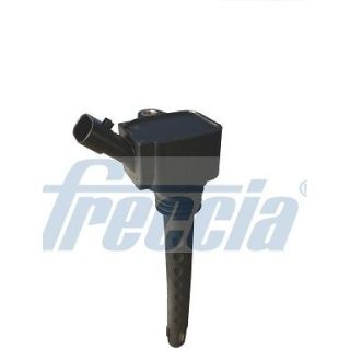 Ritė, uždegimas FRECCIA IC15-1030