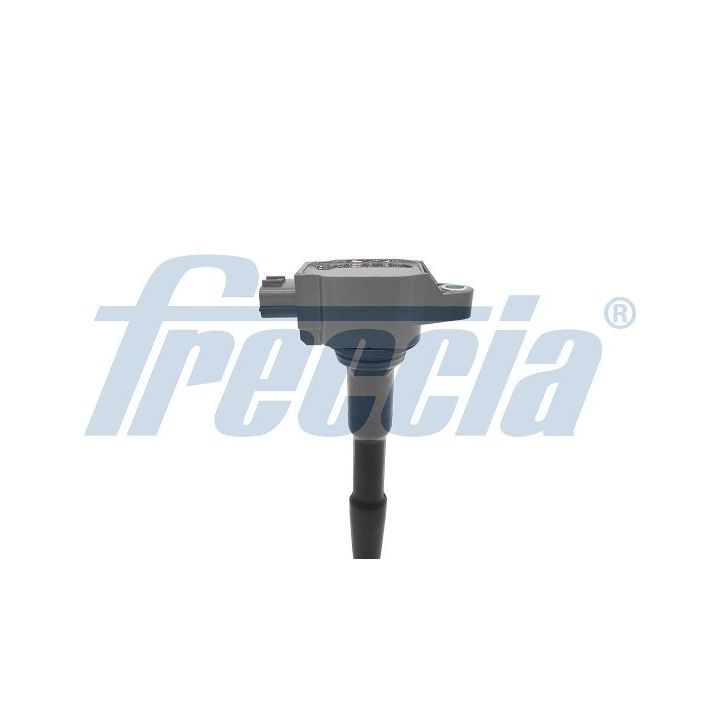 Ritė, uždegimas FRECCIA IC15-1048