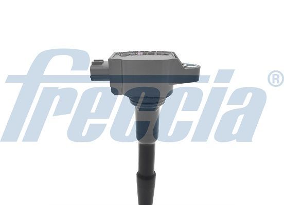 Ritė, uždegimas FRECCIA IC15-1048