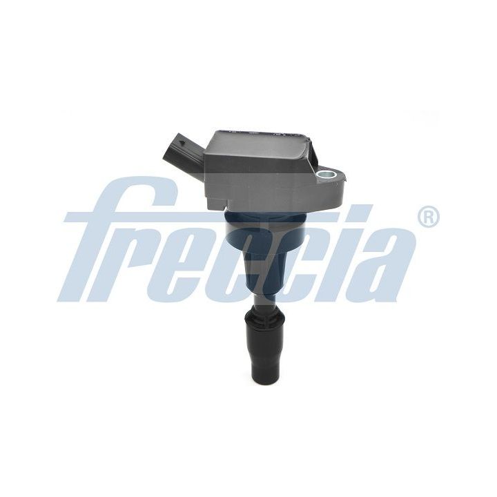 Ritė, uždegimas FRECCIA IC15-1049