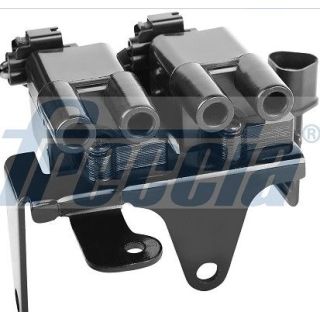 Ritė, uždegimas FRECCIA IC15-1061