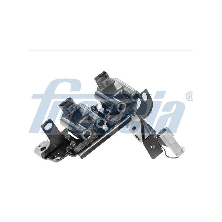 Ritė, uždegimas FRECCIA IC15-1063