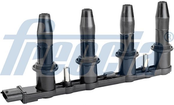 Ritė, uždegimas FRECCIA IC15-1079