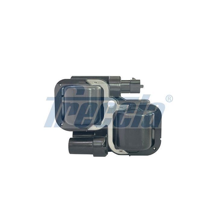 Ritė, uždegimas FRECCIA IC15-1084