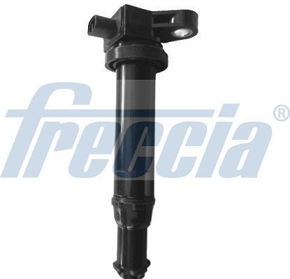 Ritė, uždegimas FRECCIA IC15-1095