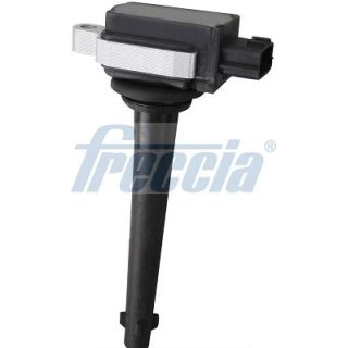 Ritė, uždegimas FRECCIA IC15-1098