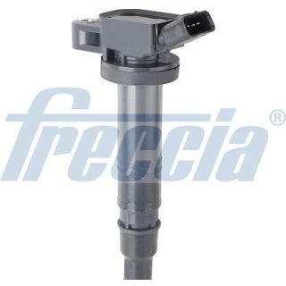 Ritė, uždegimas FRECCIA IC15-1099