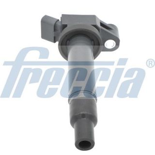 Ritė, uždegimas FRECCIA IC15-1100