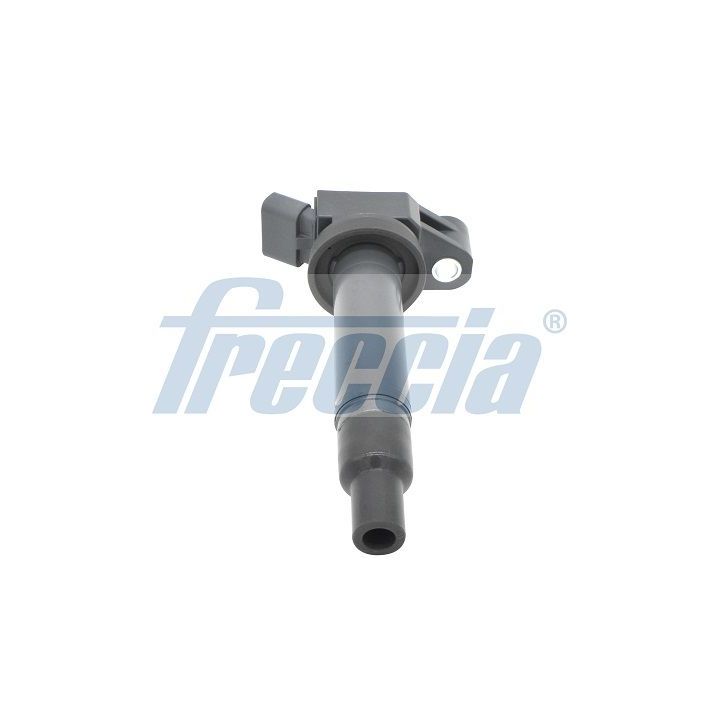 Ritė, uždegimas FRECCIA IC15-1100