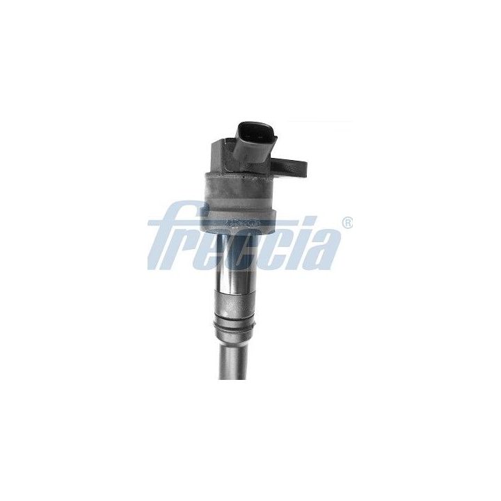 Ritė, uždegimas FRECCIA IC15-1106