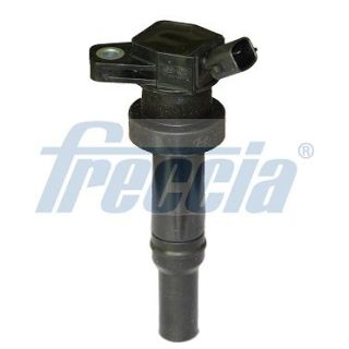 Ritė, uždegimas FRECCIA IC15-1109