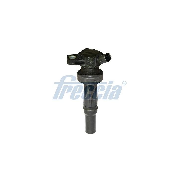 Ritė, uždegimas FRECCIA IC15-1109