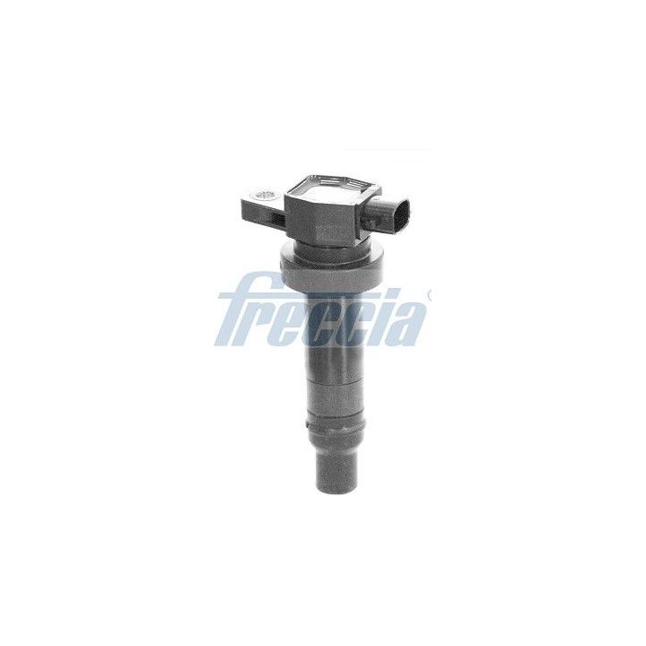 Ritė, uždegimas FRECCIA IC15-1123