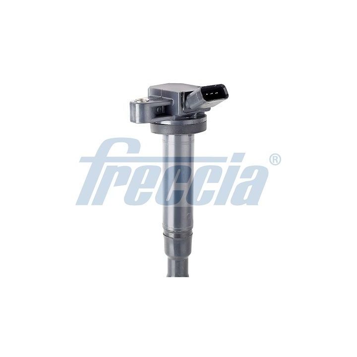 Ritė, uždegimas FRECCIA IC15-1125