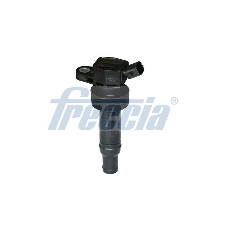 Ritė, uždegimas FRECCIA IC15-1126