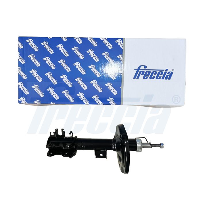 Amortizatorius FRECCIA SA20-1011
