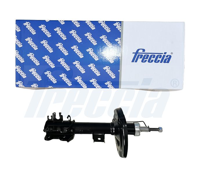 Amortizatorius FRECCIA SA20-1011