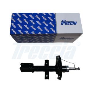 Amortizatorius FRECCIA SA20-1017