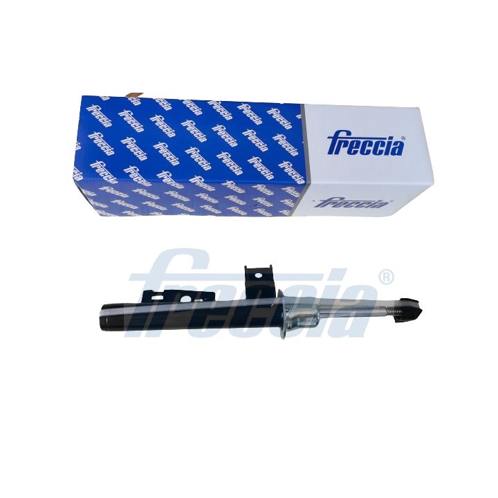 Amortizatorius FRECCIA SA20-1095