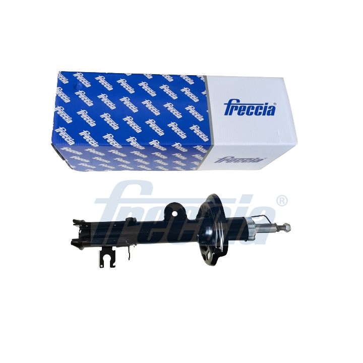Amortizatorius FRECCIA SA20-1096