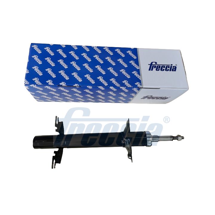 Amortizatorius FRECCIA SA20-1102