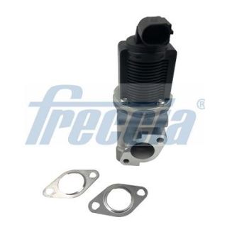 ERG vožtuvas FRECCIA EGR12-108