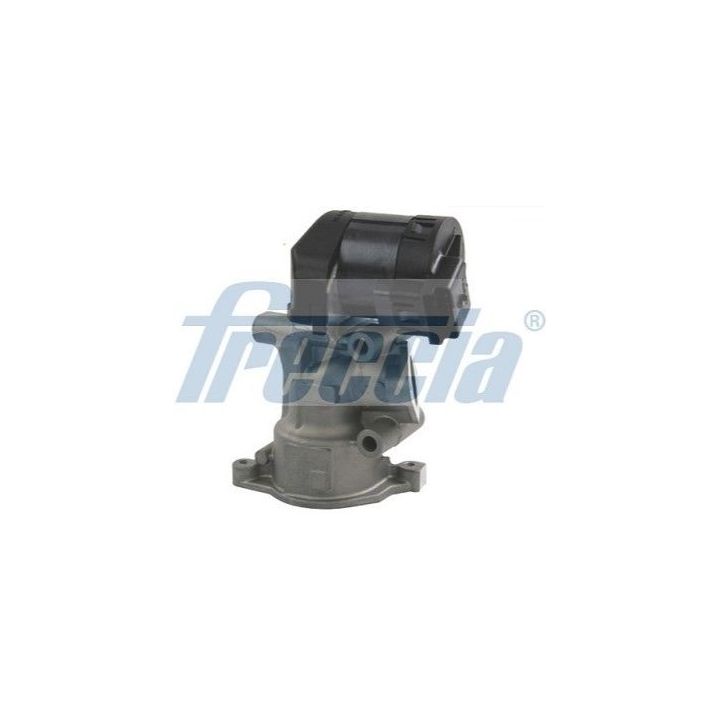 ERG vožtuvas FRECCIA EGR12-113