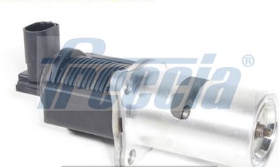 ERG vožtuvas FRECCIA EGR12-173