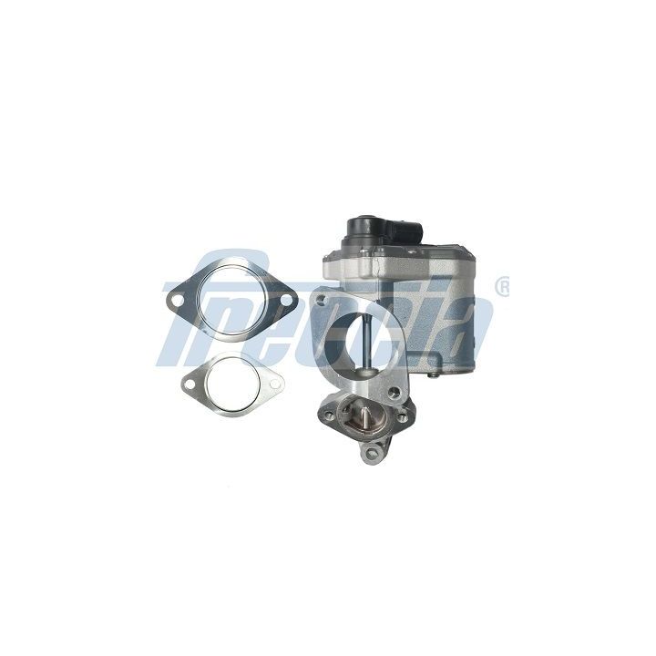 ERG vožtuvas FRECCIA EGR12-196