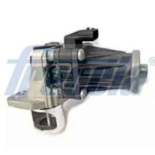 ERG vožtuvas FRECCIA EGR12-207