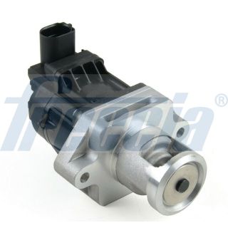 ERG vožtuvas FRECCIA EGR12-218