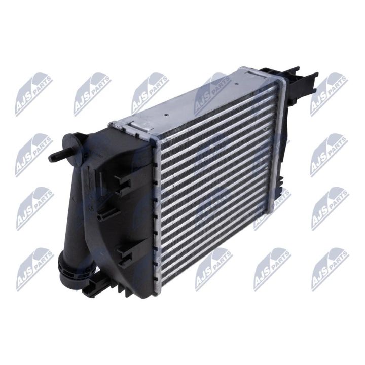 Tarpinis suslėgto oro aušintuvas, kompresorius NTY CCL-RE-018