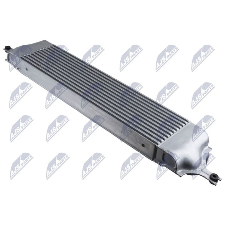 Tarpinis suslėgto oro aušintuvas, kompresorius NTY CNG-NS-004