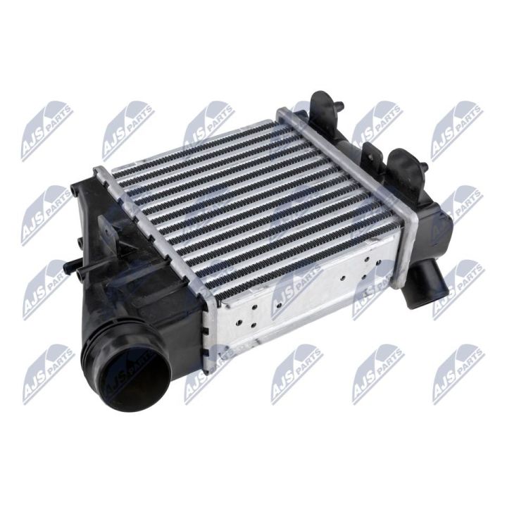 Tarpinis suslėgto oro aušintuvas, kompresorius NTY CNG-RE-005