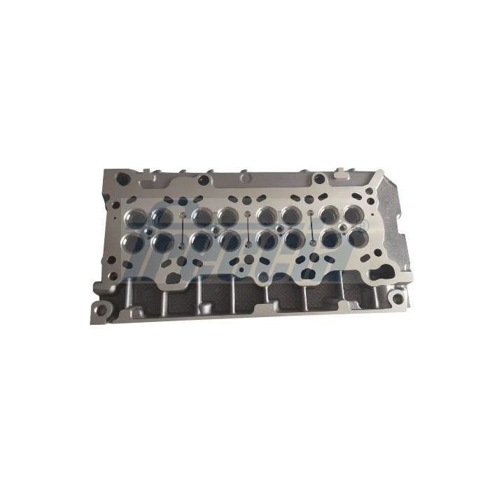 Cilindro galvutė FRECCIA CH17-1009