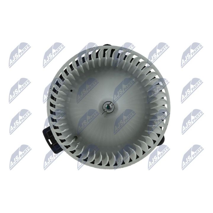 Vidaus pūtiklis NTY EWN-MZ-001